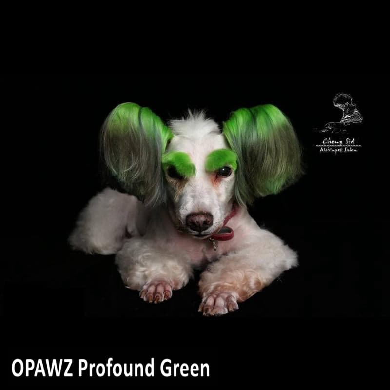 צבע שיער לכלב - ירוק עמוק | Profound Green (PD09) 5