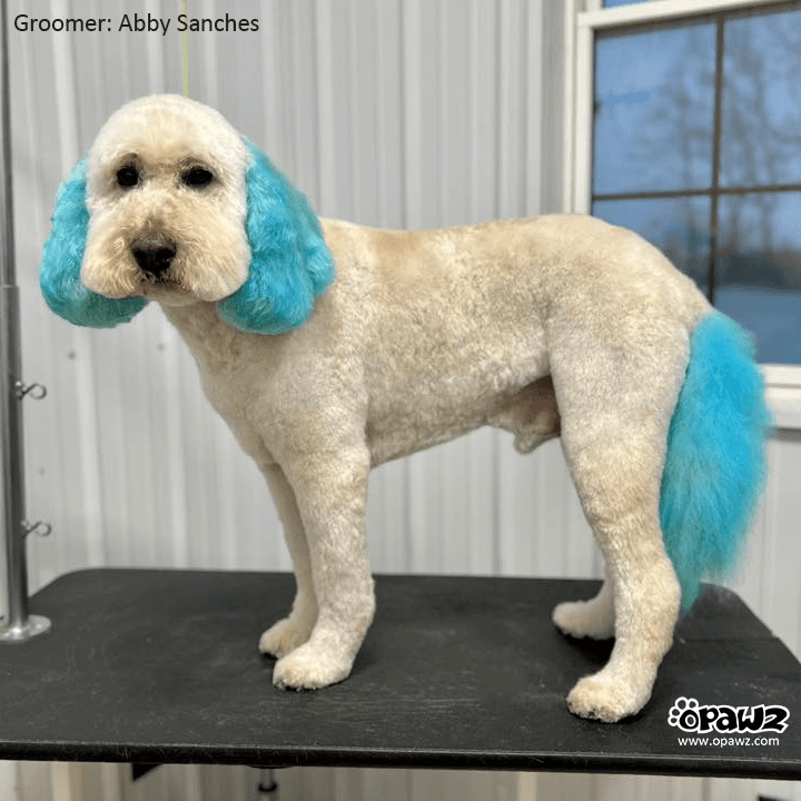 Semi-Permanent Dye - Hawaii Blue 11