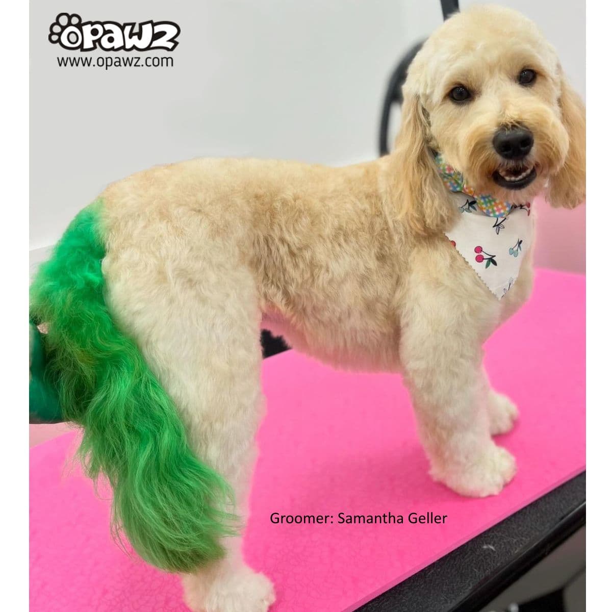 Semi-Permanent Dye - Kelly Green 4
