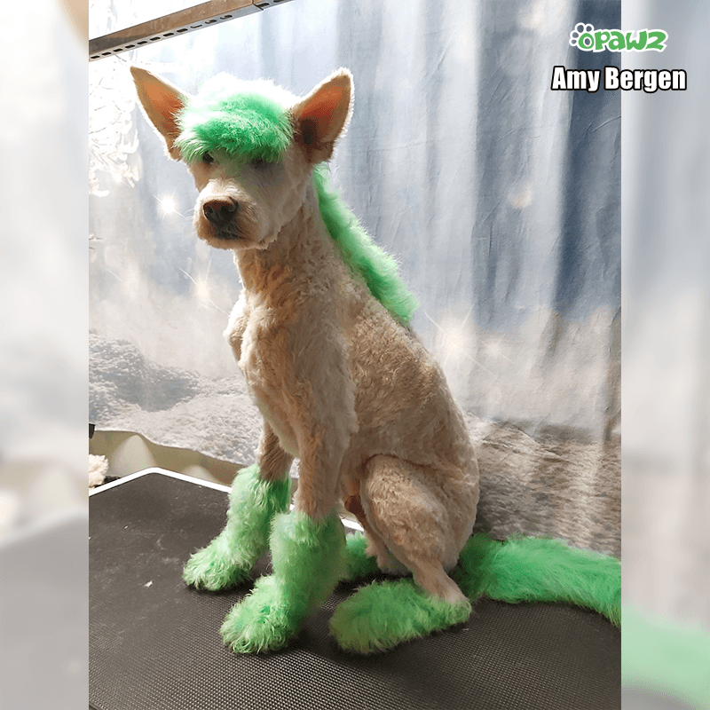 Semi-Permanent Dye - Kelly Green 7