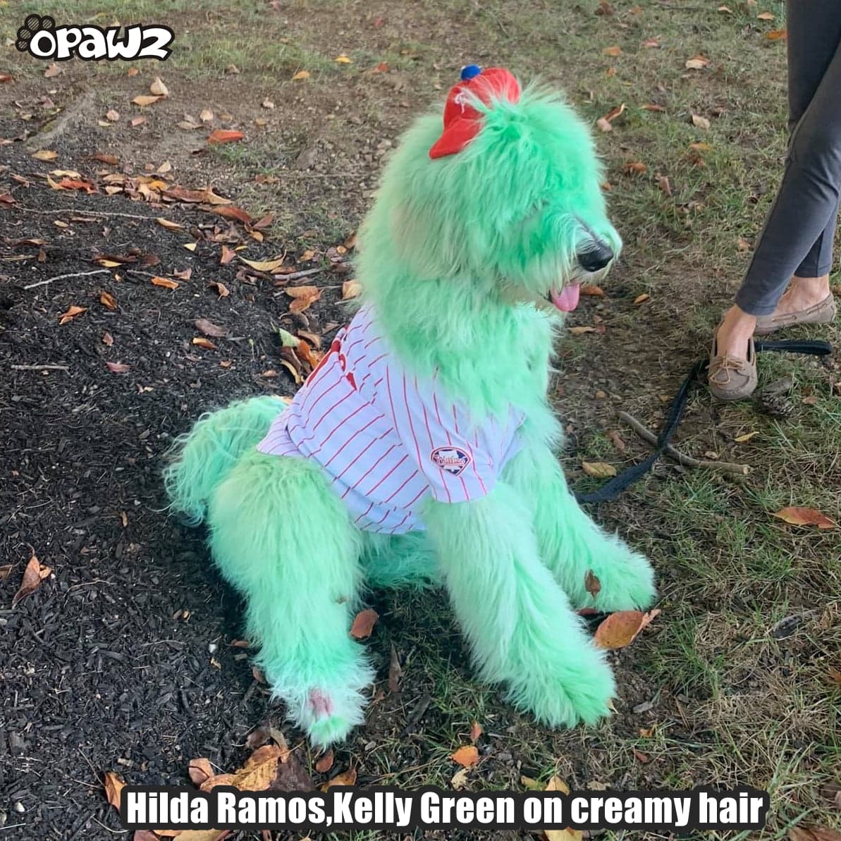 Semi-Permanent Dye - Kelly Green 8