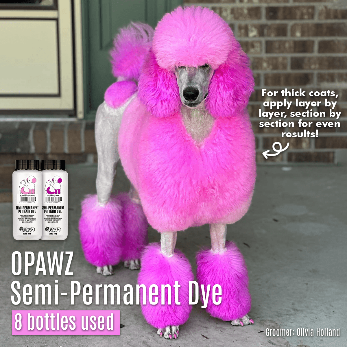 Semi-Permanent Dye - Bubble Gum Pink 5