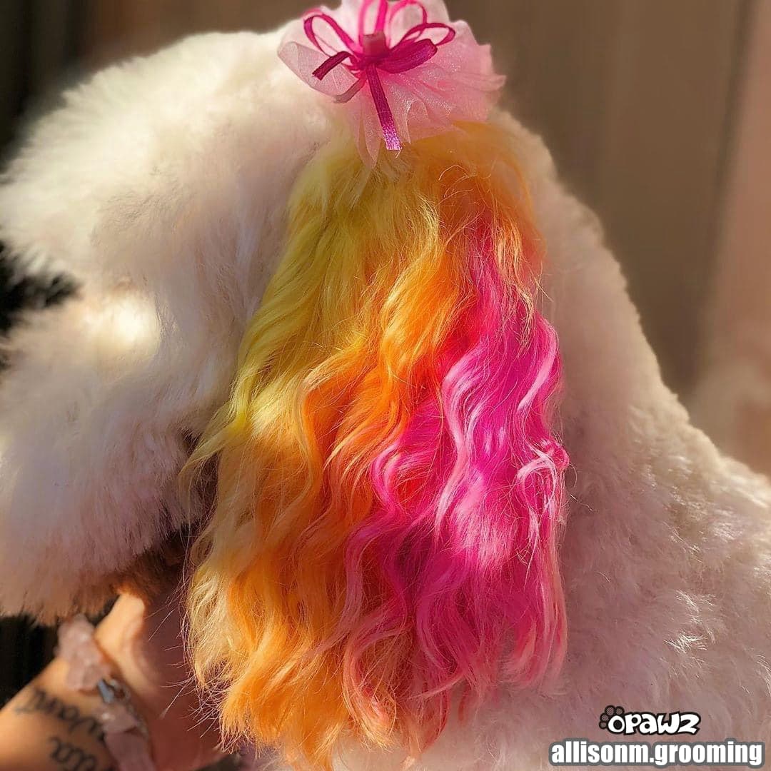 Semi-Permanent Dye - Pumpkin Orange 5
