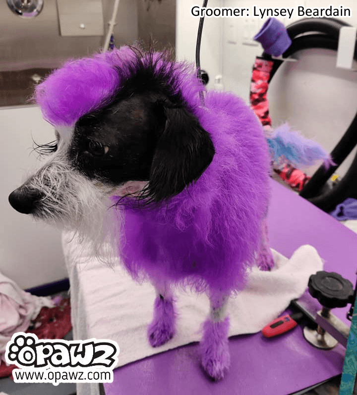 Semi-Permanent Dye - Dahlia Purple (SM02) 11