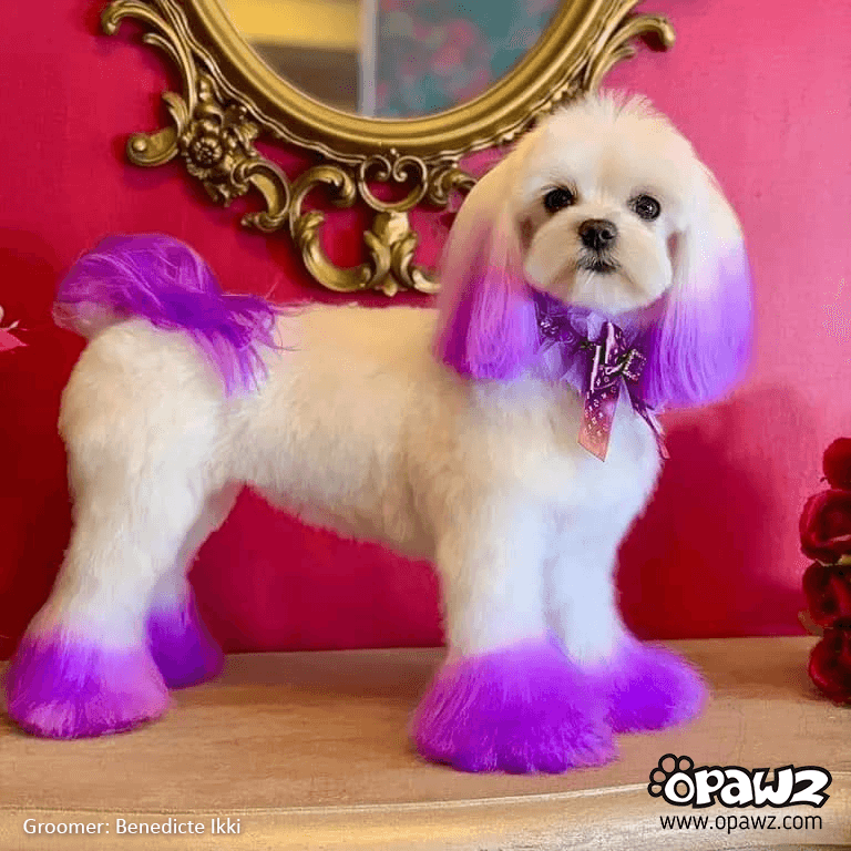 Semi-Permanent Dye - Dahlia Purple (SM02) 12