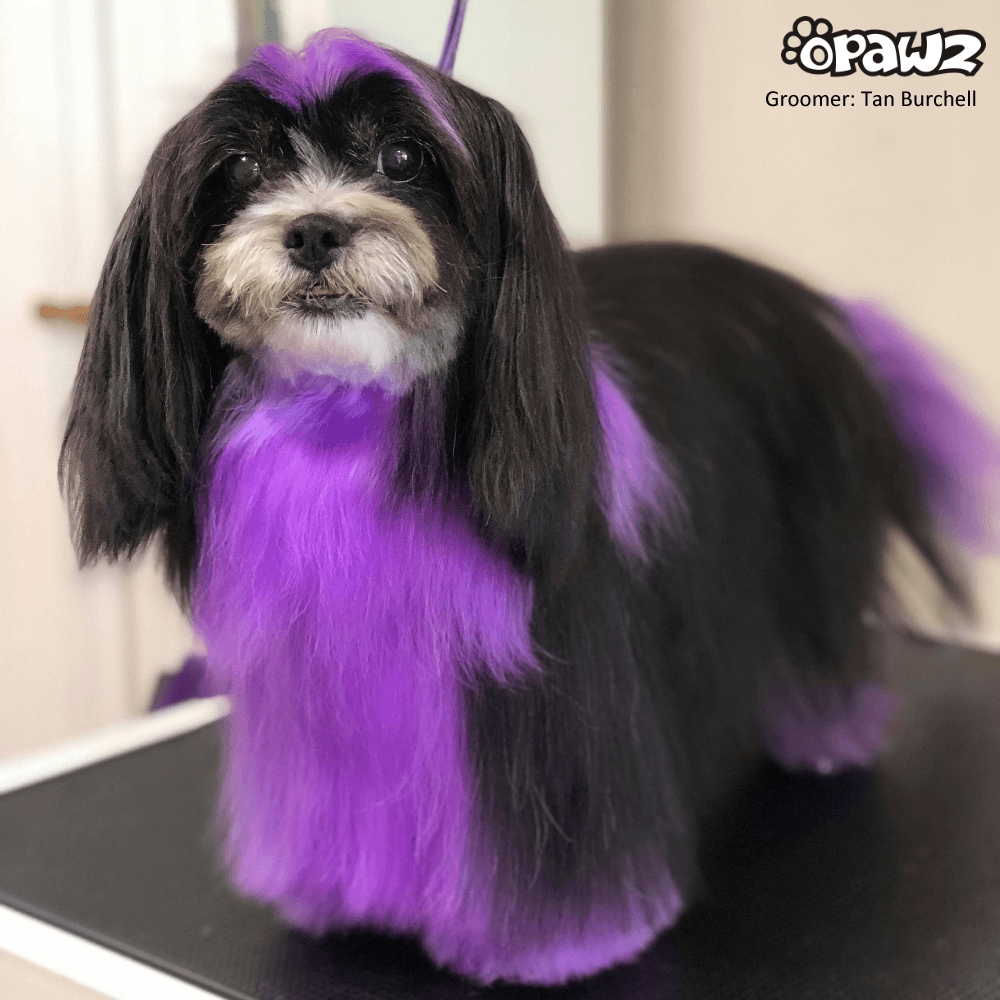 Semi-Permanent Dye - Dahlia Purple (SM02) 3