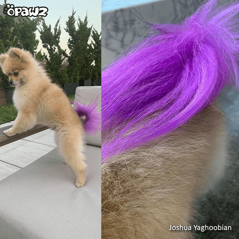 Semi-Permanent Dye - Dahlia Purple (SM02) 6