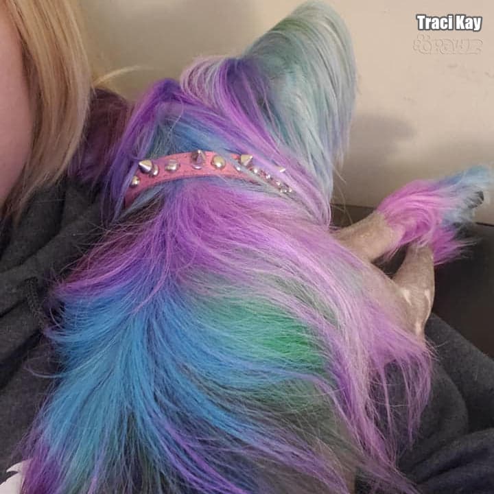 Semi-Permanent Dye - Dahlia Purple (SM02) 10
