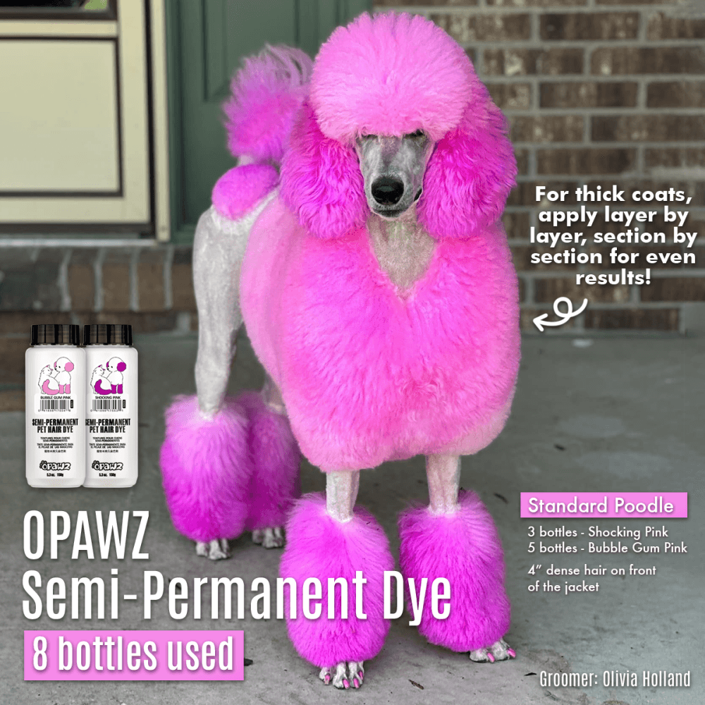Semi-Permanent Dye - Shocking Pink 4
