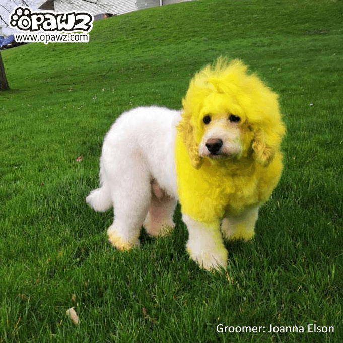 Semi-Permanent Dye - Flash Yellow 3